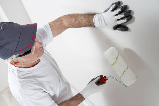 Best Black Mold Removal  in Rock Creek, MN
