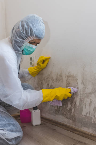 Best Airborne Mold Testing  in Rock Creek, MN