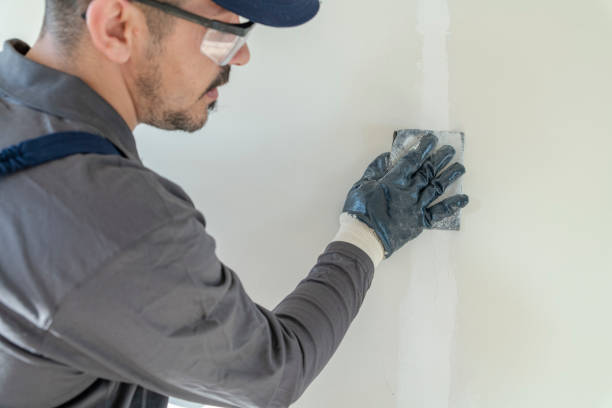 Best Crawl Space Mold Remediation  in Rock Creek, MN