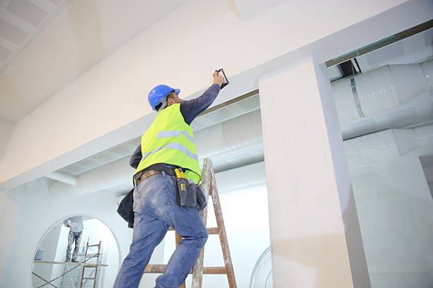 Best Mold Removal for HVAC Installations  in Rock Creek, MN