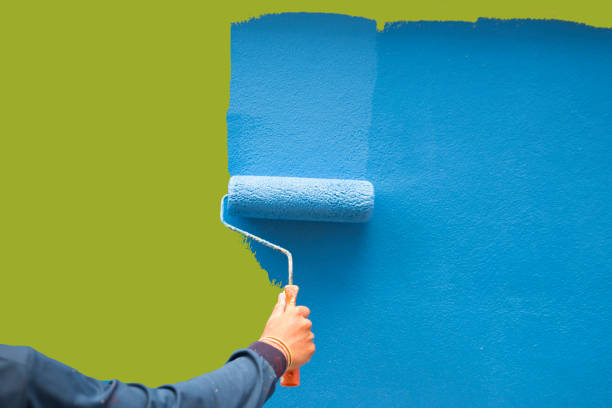 Best Biohazard Mold Removal  in Rock Creek, MN