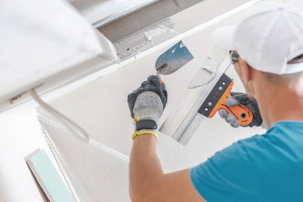 Best Emergency Mold Remediation  in Rock Creek, MN